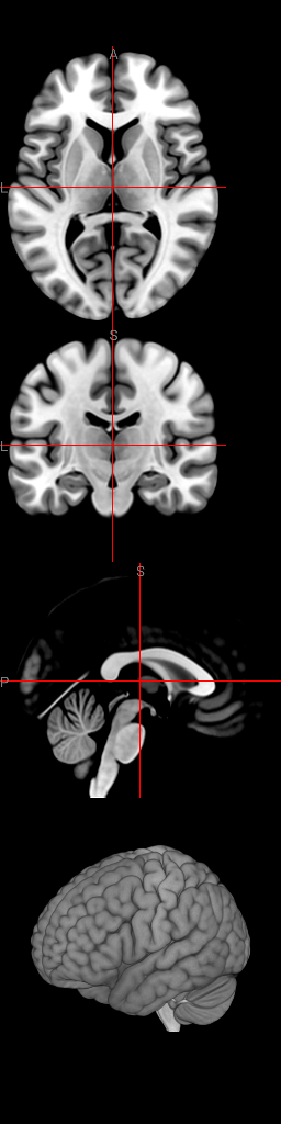 canvas.size.ipynb thumbnail