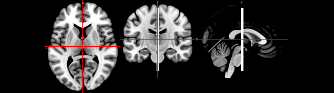 data_loading_formats.ipynb thumbnail