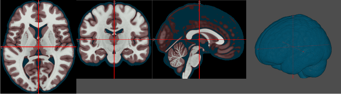segment.ipynb thumbnail