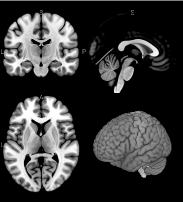 sync.bidirectional.ipynb thumbnail