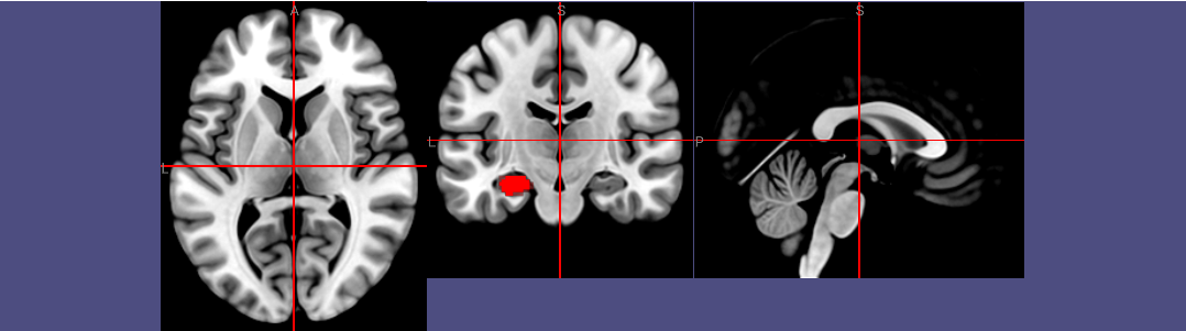 widgets.ipynb thumbnail