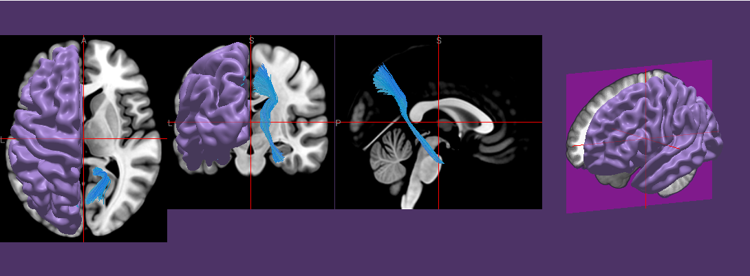 worldspace2.ipynb thumbnail